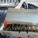 장평신촌1길 | 통영여행 수륙해수욕장 로즈힐펜션 통영중앙시장 활어시장