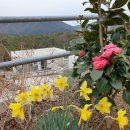 나로드림 이미지