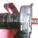 캐논 EOS 5D Mark II (정품) 바디 및 렌즈 이미지