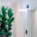 알이에스