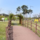 승촌보캠핑장 이미지