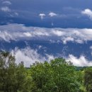 꽃주렁 나무주렁 캠핑장 이미지