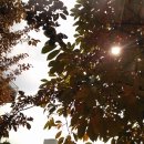 예일여고 이미지