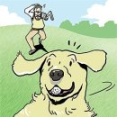 골프나인틴스크린골프 이미지