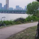 용강약국 이미지