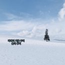 EG투어버스 G코스 | [공지] 삿포로 겨울 비에이 버스 투어 후기 &amp; 총정리와 꿀팁