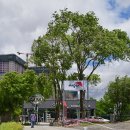 좌학근린공원 이미지