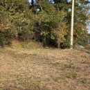 마하공인중개사사무소 이미지