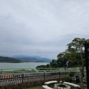 스테이포브
