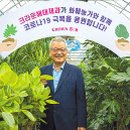 해태플라워