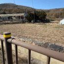 강화조아공인중개사사무소 이미지