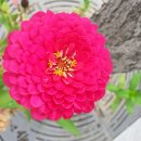 법인대경 이미지