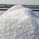 3월 28일 이미지