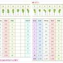 삼남개발(주) 기흥컨트리클럽 | 제대로된 명문골프장회원권을 찾으신다면~ 기흥cc골프장시세 에 대해서 알려드릴께요~