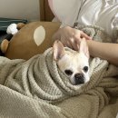 편한메디칼프라자 | 덕풍동 정형외과 하남e편한메디컬의원 가길 잘함