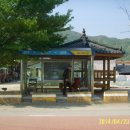 남사1리 Daum카페