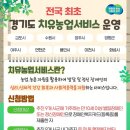 치유