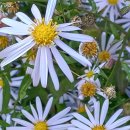 상암고려가정의학과의원 이미지