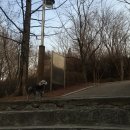 우리집첫째 이미지