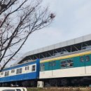 왕송스낵 이미지