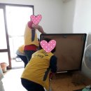 환경동사무소 이미지