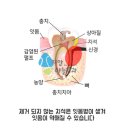 지안치과 이미지