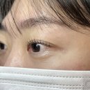 포레블랑 | 은계지구 속눈썹펌 포레브래쉬 솔직방문 후기 ✨
