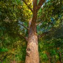 산림박물관 1층 로비, 세미나실 | 문경 아이랑 가볼만한곳 자연생태박물관 벅스어드벤처 놀이터