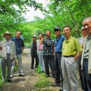 가마재 소우리 이미지