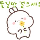 마미캠프산후조리원 이미지