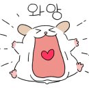 진향미용실 - 북구 | 진향미용실