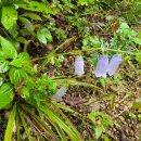 서화마을 이미지