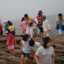 의랑초등학교 이미지