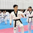 엠티에이태권도 네이버블로그