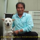 안녕하세요 이미지