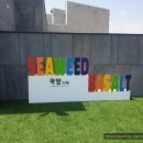 판지1길R | [곽암아트카페갤러리] 울산 카페 추천