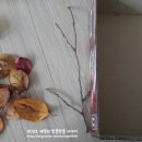 푸른나무어린이집앞 이미지