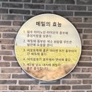 순천 메밀국수 맛집 미미소바 - 쫄깃한 판소바와 고기가득 왕만두