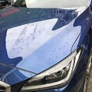 차사랑카랜드 이미지