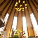 숲속의 휴식 이미지