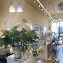 수진헤어샵 이미지