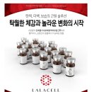 라셀 이미지