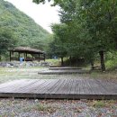 금물산하늘소캠프 이미지