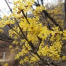 가실농장 이미지