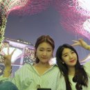 카페가든스