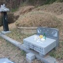 곰식자재도매마트 이미지