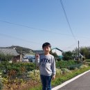 영중유치원 이미지