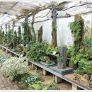 구)숭덕초등학교 이미지