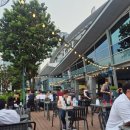 11500-19-57-06 | 싱가포르 여행 3일차(2)] 머라이언 파크, 마리나베이샌즈 호텔 57층 SPAGO 바&amp;라운지, 가든스 바이 더 베이