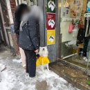【 부암동맛집/부암동 뷰맛집/1인 키친 】 따뜻한 집밥이 그리울때 들리고 싶은 &lt;데미타스&gt;